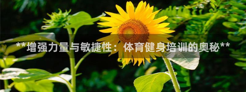 极悦平台安全吗可靠吗：**增强力量与敏捷性：体育健身