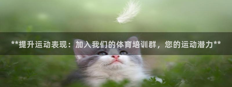 极悦平台与网易合作详情在哪：**提升运动表现：加入我