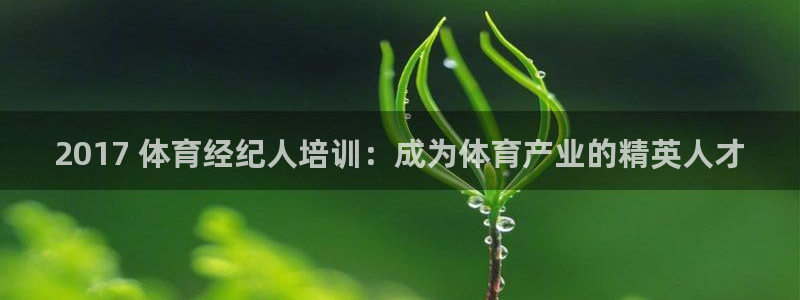 极悦平台注册用户名生成器是什么：2017 体育经纪人