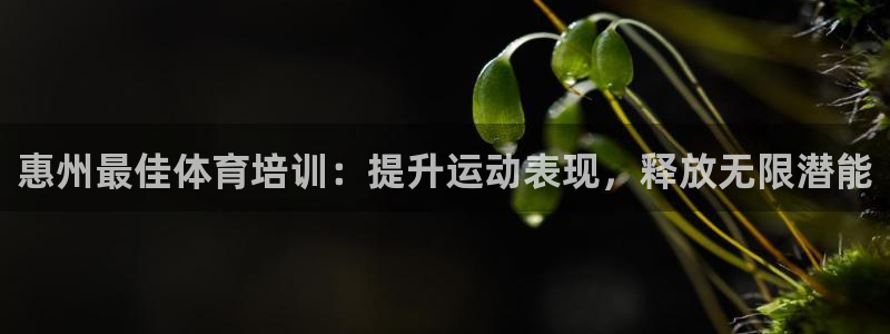 极悦娱乐的创始人背景故事：惠州最佳体育培训：提升运动