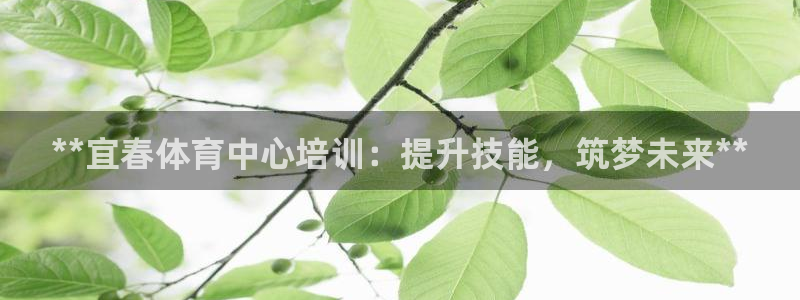 极悦娱乐的最新版本更新内容：**宜春体育中心培训：提