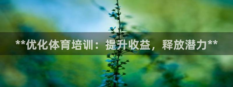 石家庄极悦空间设计有限公司：**优化体育培训：提升收