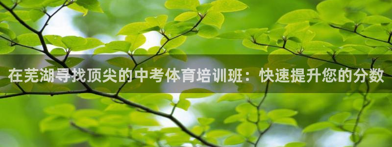 极悦娱乐方7O777：在芜湖寻找顶尖的中考体育培训班