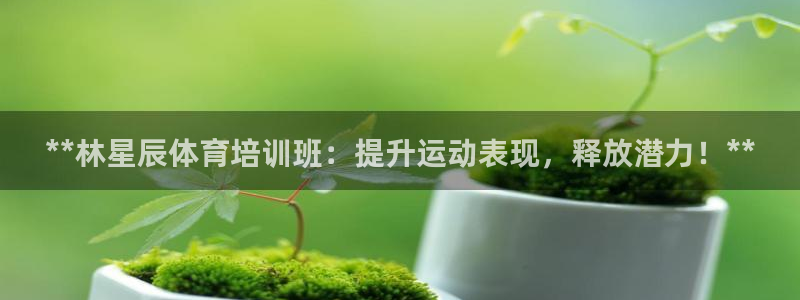 极悦平台注册官方网站下载安卓手机：**林星辰体育培训