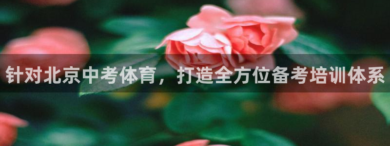 极悦平台官方网站入口下载：针对北京中考体育，打造全方