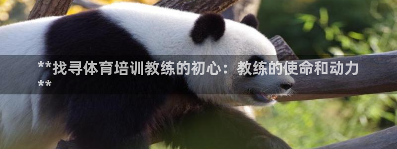 极悦平台注册失败如何解决方法：**找寻体育培训教练的