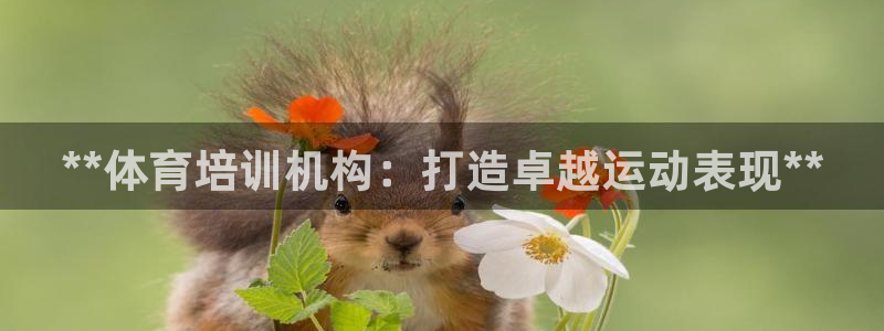 极悦平台官网登录：**体育培训机构：打造卓越运动表现