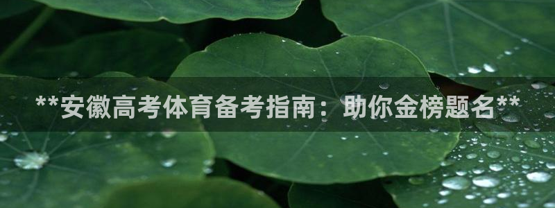 极悦平台官网登录网址：**安徽高考体育备考指南：助你