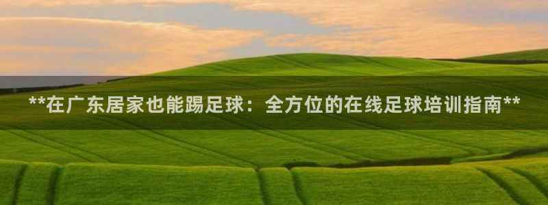 极悦官网登录：**在广东居家也能踢足球：全方位的在线