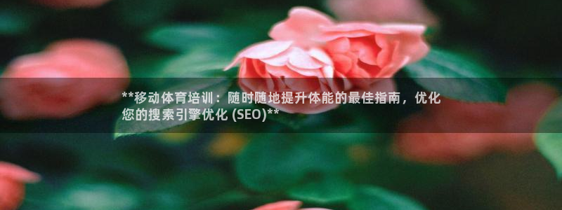 极悦官方网站：**移动体育培训：随时随地提升体能的最