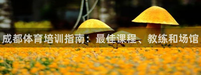 极悦娱乐代理怎么样可靠吗：成都体育培训指南：最佳课程