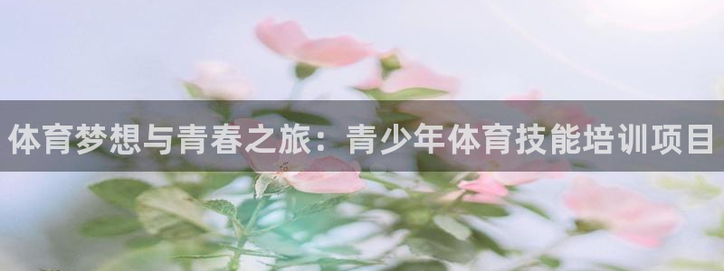 极悦娱乐代理人是谁：体育梦想与青春之旅：青少年体育技