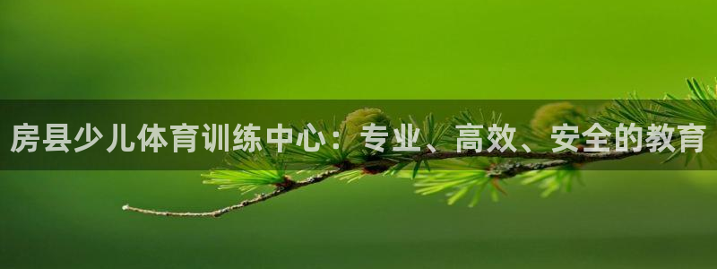 极悦平台安全吗可信吗：房县少儿体育训练中心：专业、高效、安全