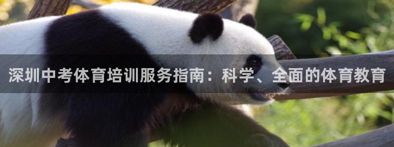 极悦是什么牌子空调：深圳中考体育培训服务指南：科学、