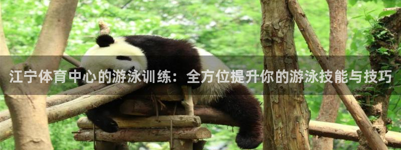 极悦是什么牌子空调：江宁体育中心的游泳训练：全方位提