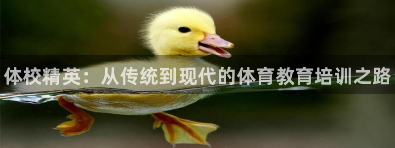 极悦平台用户评价怎么样：体校精英：从传统到现代的体育