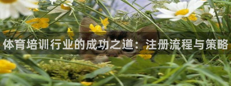 极悦平台官网登录不了：体育培训行业的成功之道：注册流