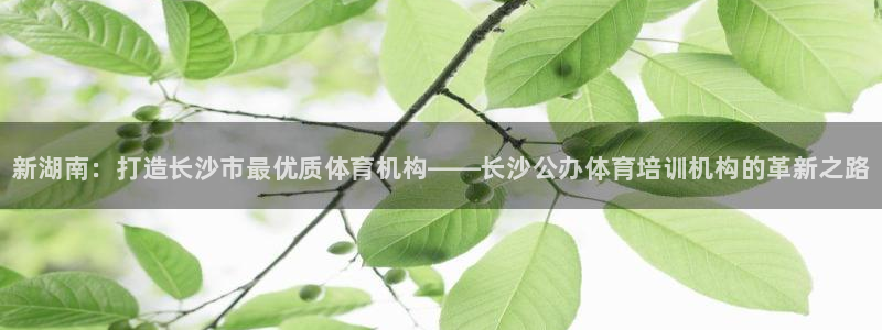 极悦娱乐公司最新招聘信息官网：新湖南：打造长沙市最优质体育机