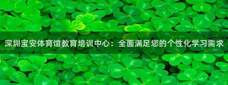 舒客极悦牙膏：深圳宝安体育馆教育培训中心：全面满足您的个性化