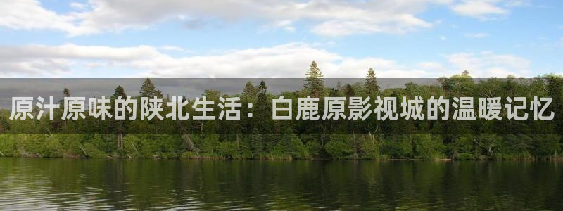 顶楼的大象韩国电影完整版