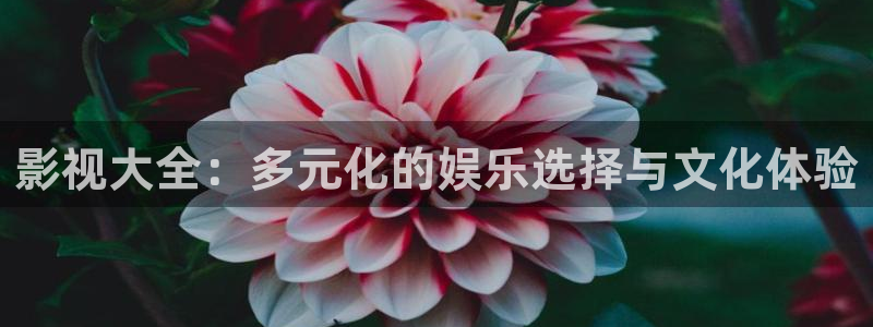 大象天天影院