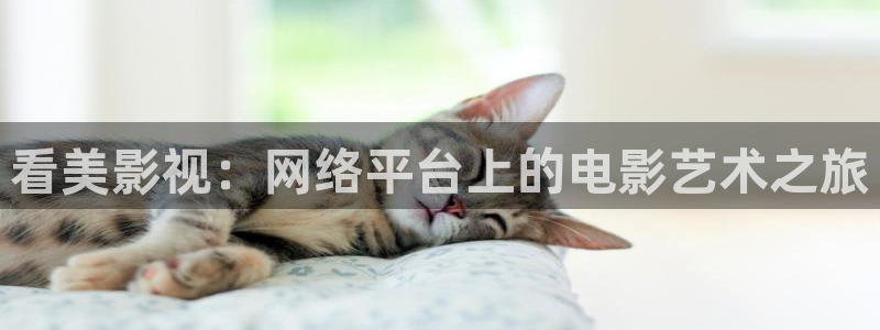 顶楼的大象韩国电影完整版