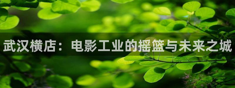 午夜大象影院：武汉横店：电影工业的摇篮与未来之城