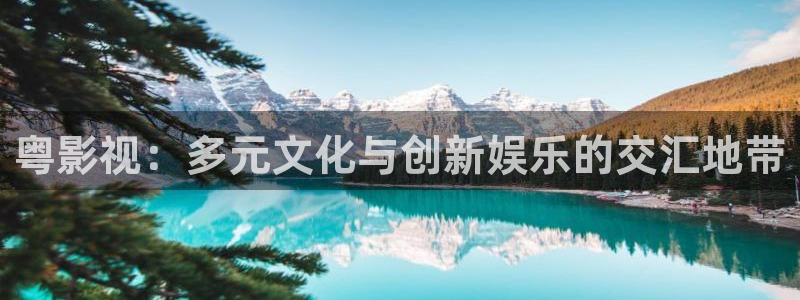 韩国大象电影