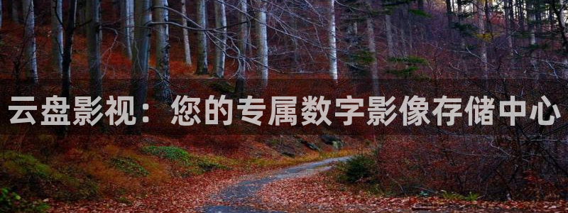 大象天天影院：云盘影视：您的专属数字影像存储中心