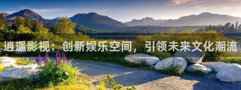 顶楼的大象 韩国电影：逍遥影视：创新娱乐空间，引领未来文化潮流