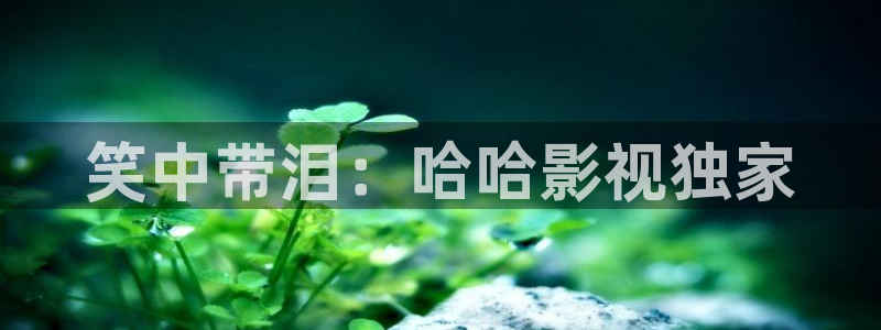 大象天天影院：笑中带泪：哈哈影视独家