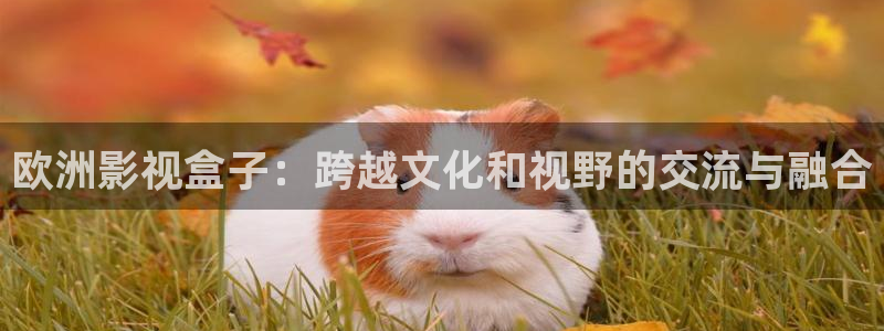 大象影院在线播放：欧洲影视盒子：跨越文化和视野的交流与融合