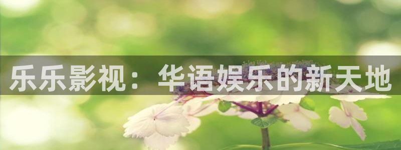 顶楼的大象 韩国电影