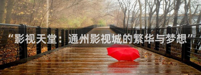 韩国限制级电影顶楼的大象